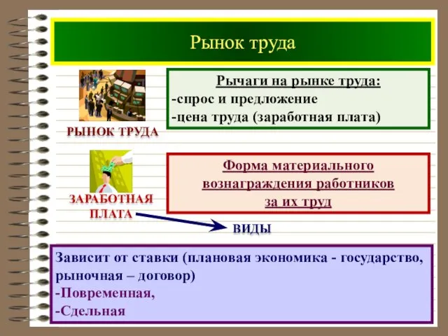 Рынок труда РЫНОК ТРУДА Рычаги на рынке труда: -спрос и предложение -цена