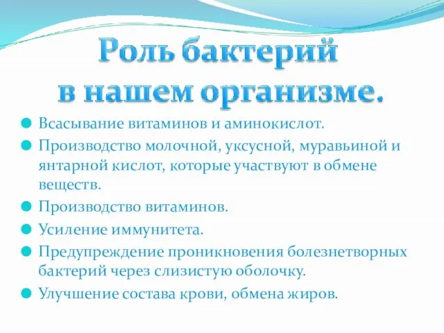 Всасывание витаминов и аминокислот. Производство молочной, уксусной, муравьиной и янтарной кислот, которые