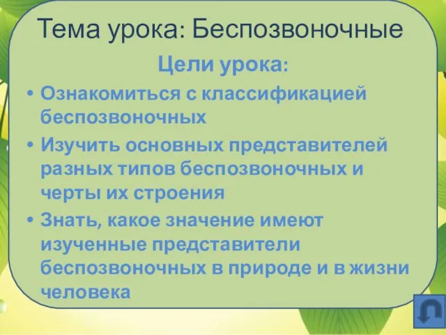 Тема урока: Беспозвоночные Цели урока: Ознакомиться с классификацией беспозвоночных Изучить основных представителей