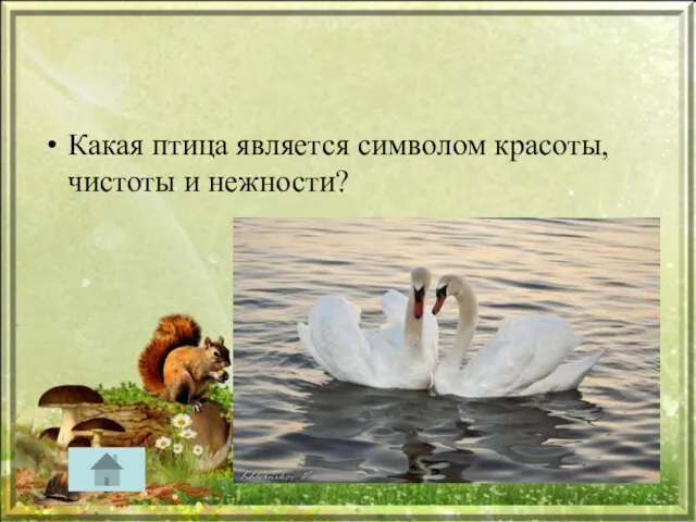 Какая птица является символом красоты, чистоты и нежности?