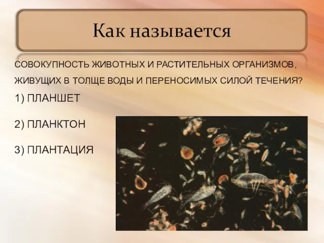 Как называется СОВОКУПНОСТЬ ЖИВОТНЫХ И РАСТИТЕЛЬНЫХ ОРГАНИЗМОВ, ЖИВУЩИХ В ТОЛЩЕ ВОДЫ И