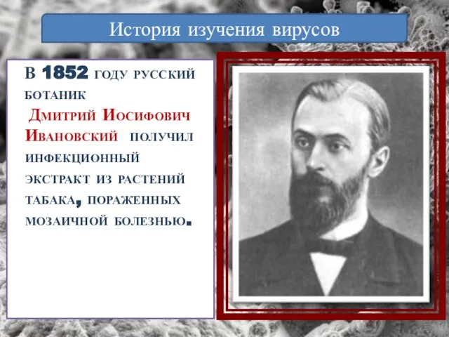 В 1852 году русский ботаник Дмитрий Иосифович Ивановский получил инфекционный экстракт из