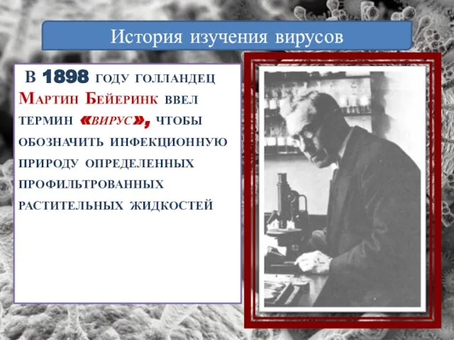 В 1898 году голландец Мартин Бейеринк ввел термин «вирус», чтобы обозначить инфекционную