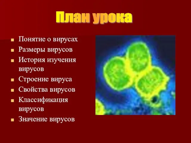 Понятие о вирусах Размеры вирусов История изучения вирусов Строение вируса Свойства вирусов