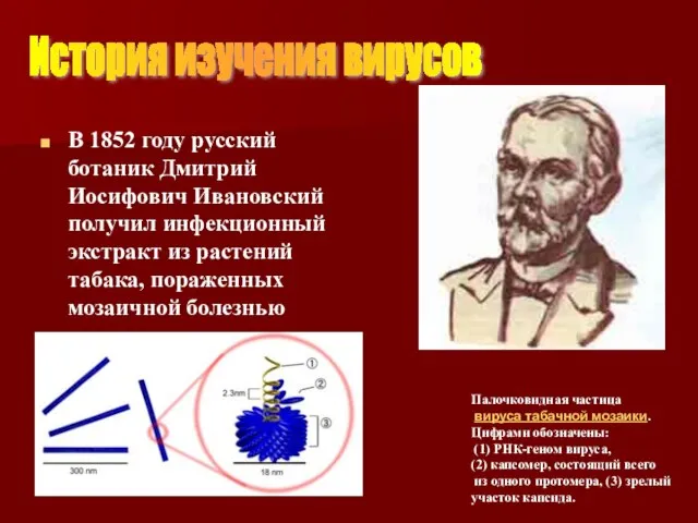 В 1852 году русский ботаник Дмитрий Иосифович Ивановский получил инфекционный экстракт из