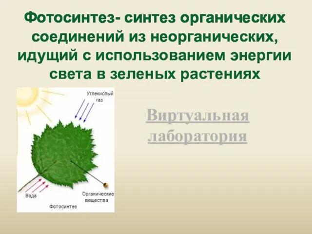 Фотосинтез- синтез органических соединений из неорганических, идущий с использованием энергии света в зеленых растениях Виртуальная лаборатория