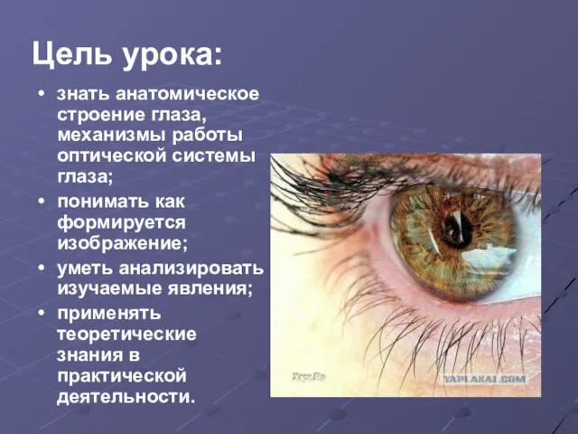 Цель урока: знать анатомическое строение глаза, механизмы работы оптической системы глаза; понимать