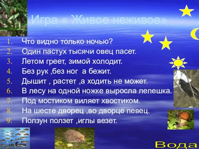 Игра « Живое неживое» Что видно только ночью? Один пастух тысячи овец