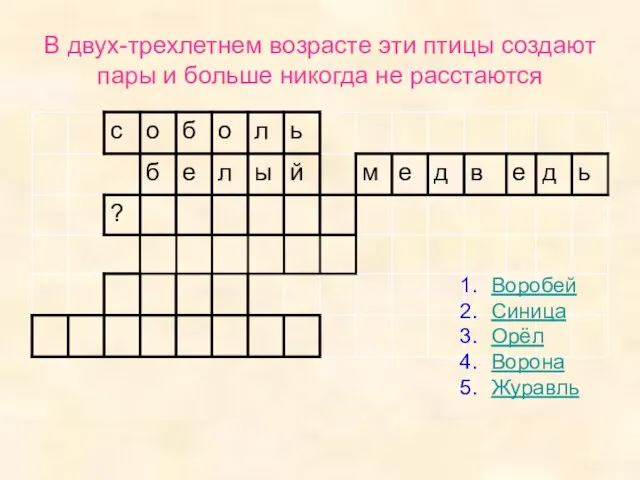 В двух-трехлетнем возрасте эти птицы создают пары и больше никогда не расстаются