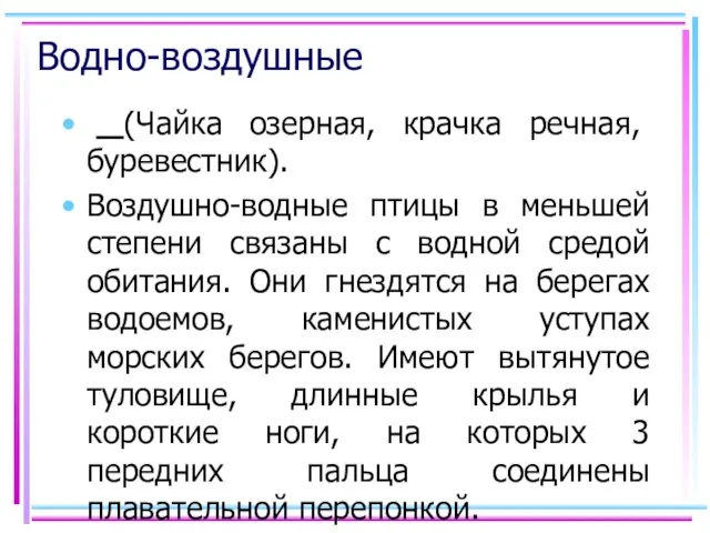 Водно-воздушные (Чайка озерная, крачка речная, буревестник). Воздушно-водные птицы в меньшей степени связаны