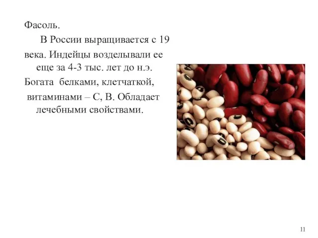 Фасоль. В России выращивается с 19 века. Индейцы возделывали ее еще за