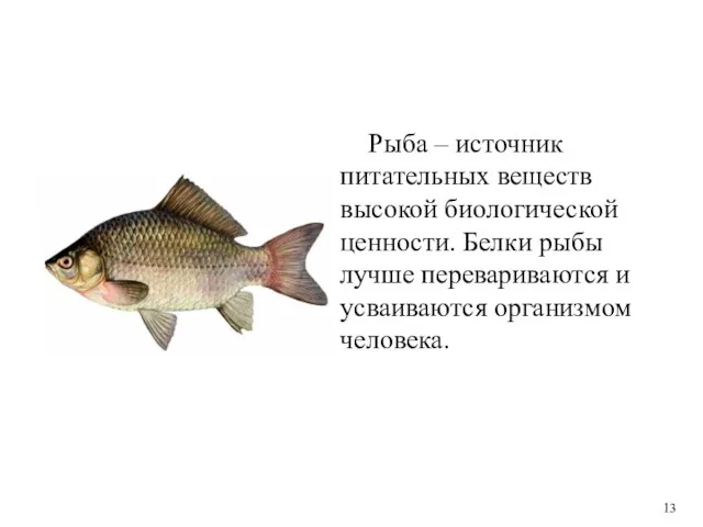 Рыба – источник питательных веществ высокой биологической ценности. Белки рыбы лучше перевариваются