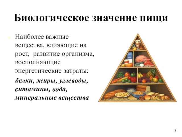 Биологическое значение пищи Наиболее важные вещества, влияющие на рост, развитие организма, восполняющие