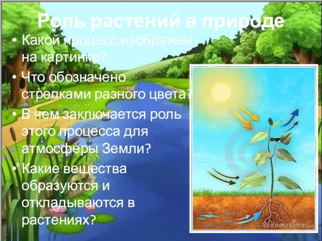 Роль растений в природе Какой процесс изображен на картинке? Что обозначено стрелками