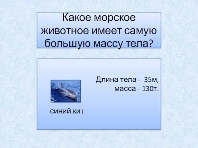 Какое морское животное имеет самую большую массу тела? Длина тела - 35м,