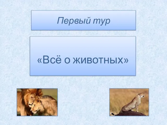 Первый тур «Всё о животных»