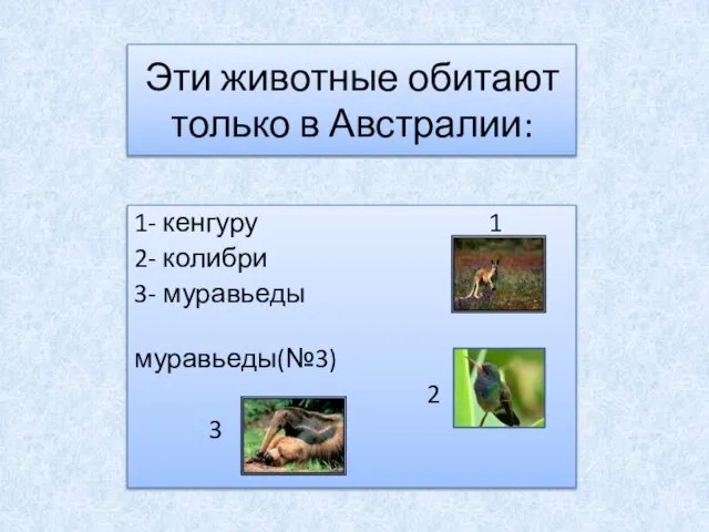 Эти животные обитают только в Австралии: 1- кенгуру 1 2- колибри 3- муравьеды муравьеды(№3) 2 3