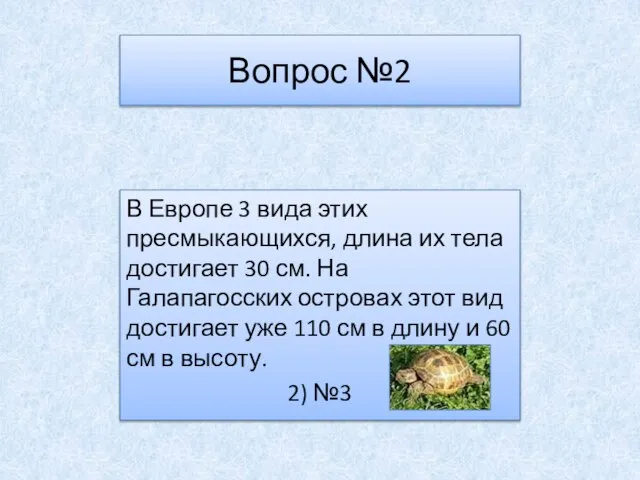 Вопрос №2 В Европе 3 вида этих пресмыкающихся, длина их тела достигает