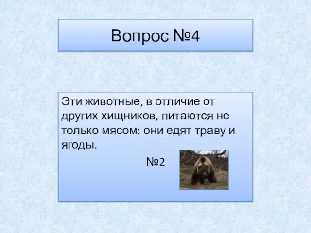 Вопрос №4 Эти животные, в отличие от других хищников, питаются не только