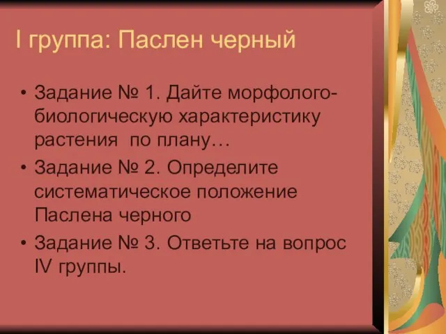 I группа: Паслен черный Задание № 1. Дайте морфолого-биологическую характеристику растения по