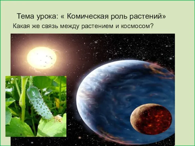 Тема урока: « Комическая роль растений» Какая же связь между растением и космосом?