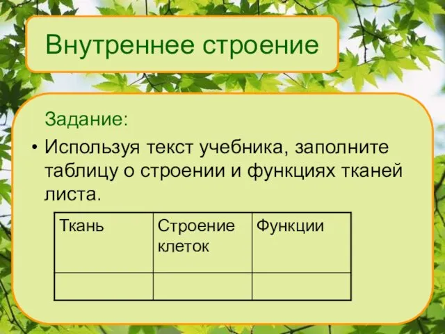 Внутреннее строение Задание: Используя текст учебника, заполните таблицу о строении и функциях тканей листа.