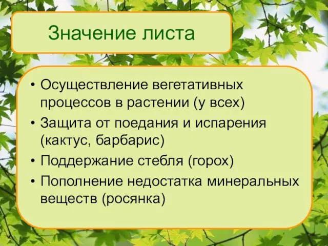 Значение листа Осуществление вегетативных процессов в растении (у всех) Защита от поедания