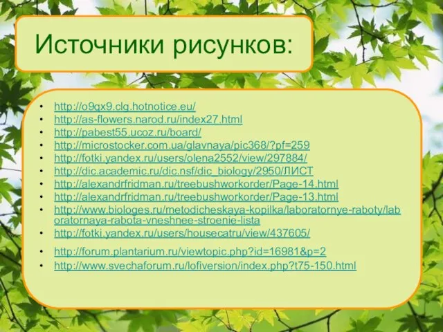 Источники рисунков: http://o9qx9.clg.hotnotice.eu/ http://as-flowers.narod.ru/index27.html http://pabest55.ucoz.ru/board/ http://microstocker.com.ua/glavnaya/pic368/?pf=259 http://fotki.yandex.ru/users/olena2552/view/297884/ http://dic.academic.ru/dic.nsf/dic_biology/2950/ЛИСТ http://alexandrfridman.ru/treebushworkorder/Page-14.html http://alexandrfridman.ru/treebushworkorder/Page-13.html http://www.biologes.ru/metodicheskaya-kopilka/laboratornye-raboty/laboratornaya-rabota-vneshnee-stroenie-lista http://fotki.yandex.ru/users/housecatru/view/437605/ http://forum.plantarium.ru/viewtopic.php?id=16981&p=2 http://www.svechaforum.ru/lofiversion/index.php?t75-150.html