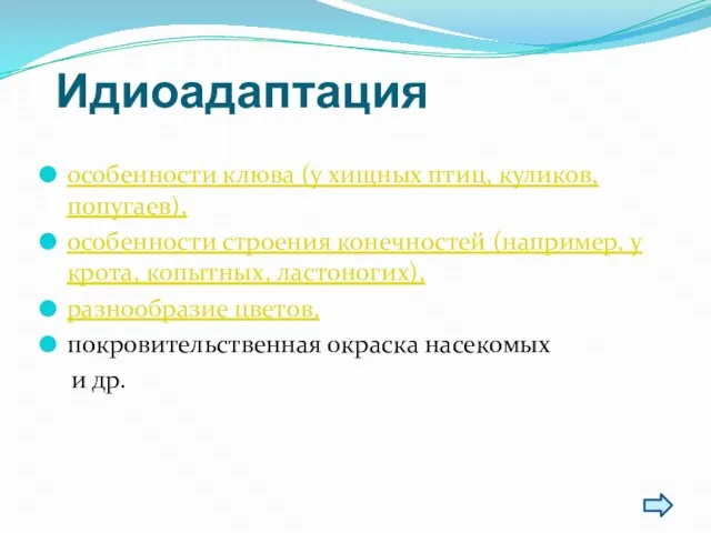 Идиоадаптация особенности клюва (у хищных птиц, куликов, попугаев), особенности строения конечностей (например,