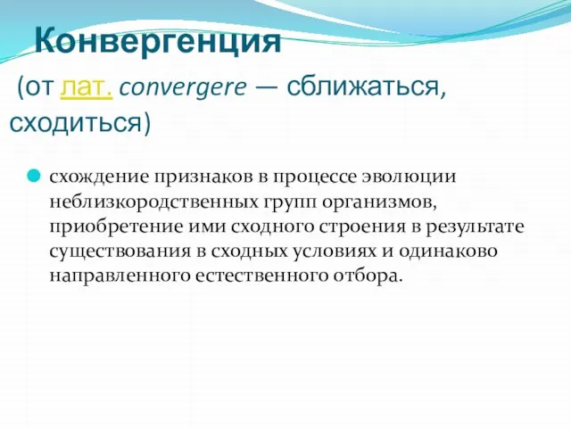 Конвергенция (от лат. convergere — сближаться, сходиться) схождение признаков в процессе эволюции