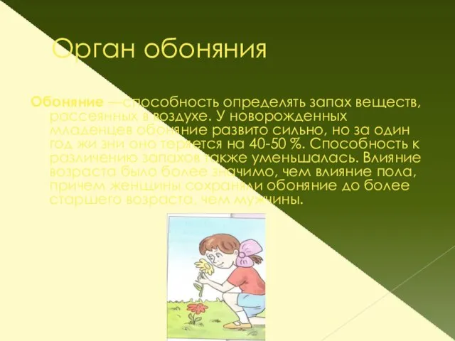 Орган обоняния Обоняние —способность определять запах веществ, рассеянных в воздухе. У новорожденных