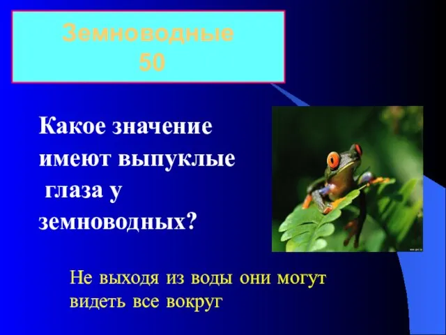 Какое значение имеют выпуклые глаза у земноводных? Земноводные 50 Не выходя из