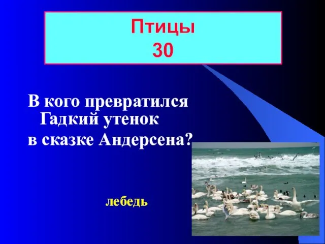 В кого превратился Гадкий утенок в сказке Андерсена? Птицы 30 лебедь