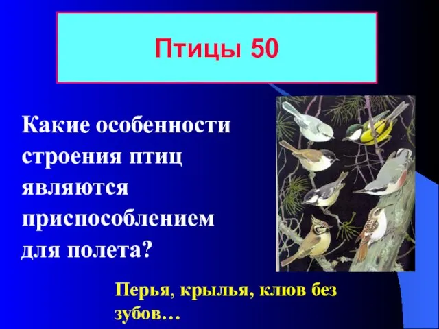 Какие особенности строения птиц являются приспособлением для полета? Птицы 50 Перья, крылья, клюв без зубов…