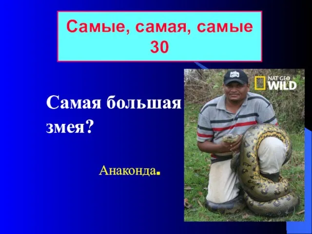 Самая большая змея? Самые, самая, самые 30 Анаконда.