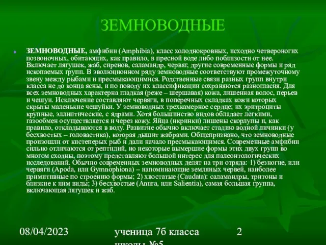 08/04/2023 ученица 7б класса школы №5 Вишневецкая Валерия ЗЕМНОВОДНЫЕ ЗЕМНОВОДНЫЕ, амфибии (Amphibia),