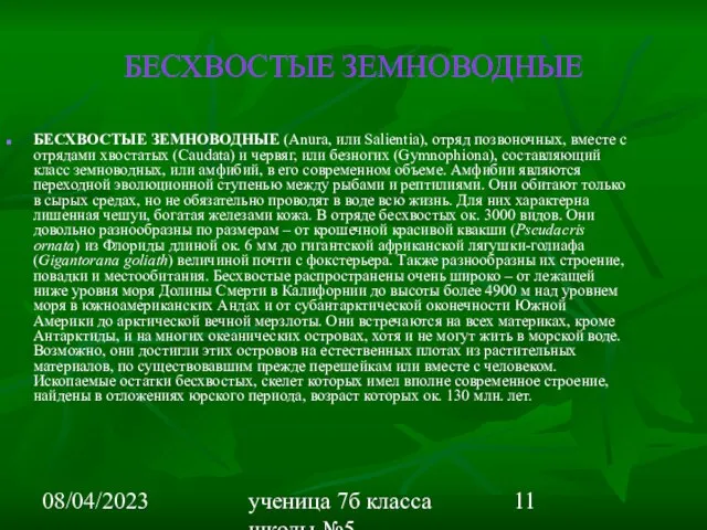 08/04/2023 ученица 7б класса школы №5 Вишневецкая Валерия БЕСХВОСТЫЕ ЗЕМНОВОДНЫЕ БЕСХВОСТЫЕ ЗЕМНОВОДНЫЕ