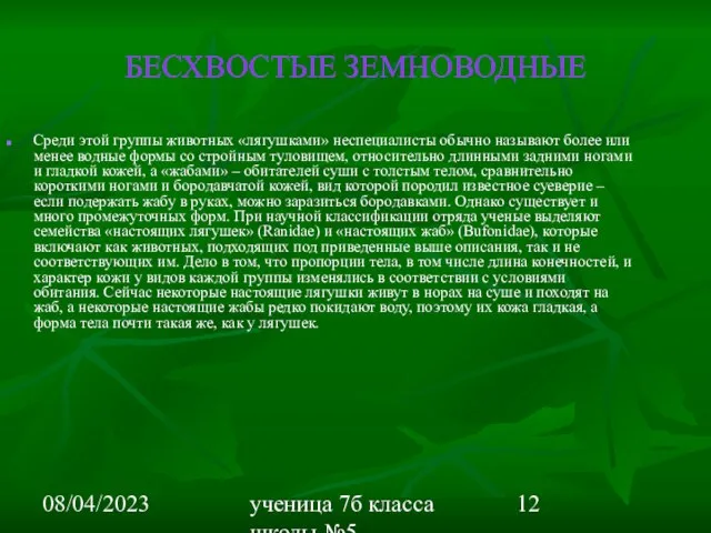 08/04/2023 ученица 7б класса школы №5 Вишневецкая Валерия БЕСХВОСТЫЕ ЗЕМНОВОДНЫЕ Среди этой