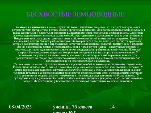 08/04/2023 ученица 7б класса школы №5 Вишневецкая Валерия БЕСХВОСТЫЕ ЗЕМНОВОДНЫЕ Анатомия и