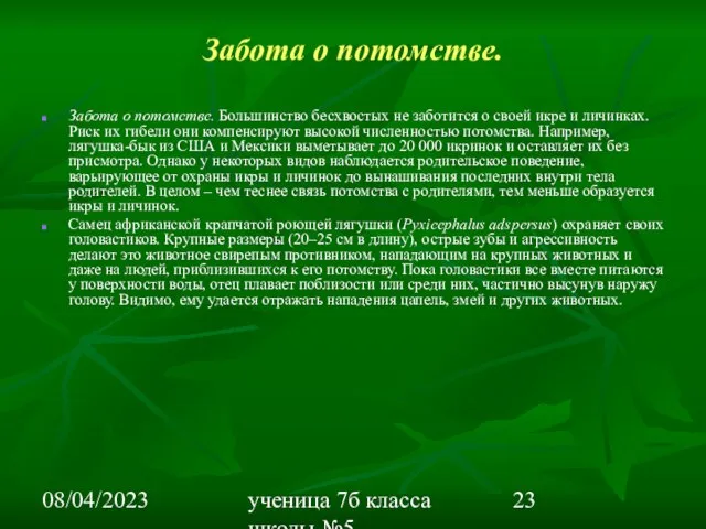 08/04/2023 ученица 7б класса школы №5 Вишневецкая Валерия Забота о потомстве. Забота