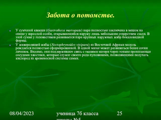 08/04/2023 ученица 7б класса школы №5 Вишневецкая Валерия Забота о потомстве. У