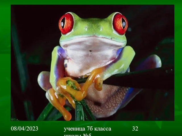 08/04/2023 ученица 7б класса школы №5 Вишневецкая Валерия