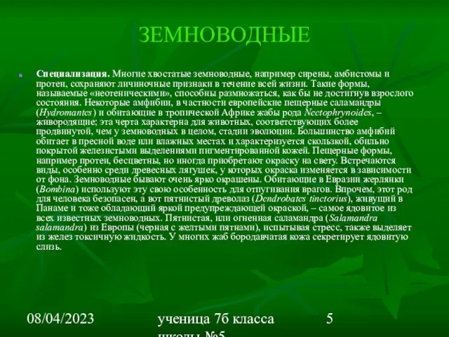 08/04/2023 ученица 7б класса школы №5 Вишневецкая Валерия ЗЕМНОВОДНЫЕ Специализация. Многие хвостатые