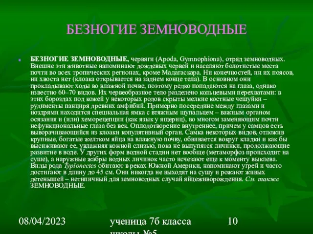 08/04/2023 ученица 7б класса школы №5 Вишневецкая Валерия БЕЗНОГИЕ ЗЕМНОВОДНЫЕ БЕЗНОГИЕ ЗЕМНОВОДНЫЕ,