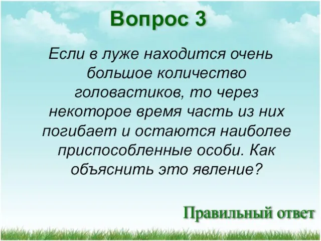 Правильный ответ Вопрос 3 Если в луже находится очень большое количество головастиков,