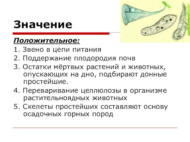 Значение Положительное: 1. Звено в цепи питания 2. Поддержание плодородия почв 3.