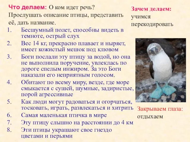 Бесшумный полет, способны видеть в темноте, острый слух Вес 14 кг, прекрасно