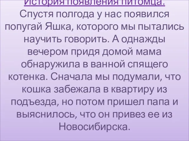 История появления питомца. Спустя полгода у нас появился попугай Яшка, которого мы