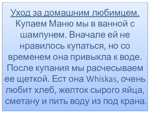 Уход за домашним любимцем. Купаем Маню мы в ванной с шампунем. Вначале