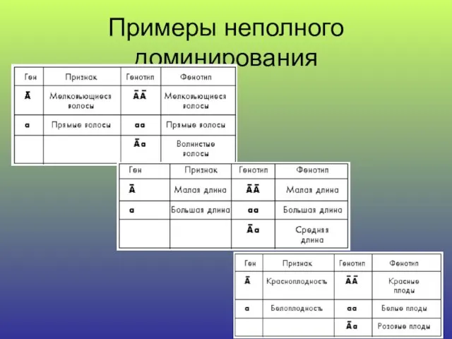 Примеры неполного доминирования